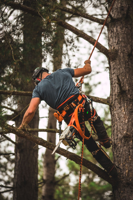 Tree Climbing - The Extreme Sport - Treehog