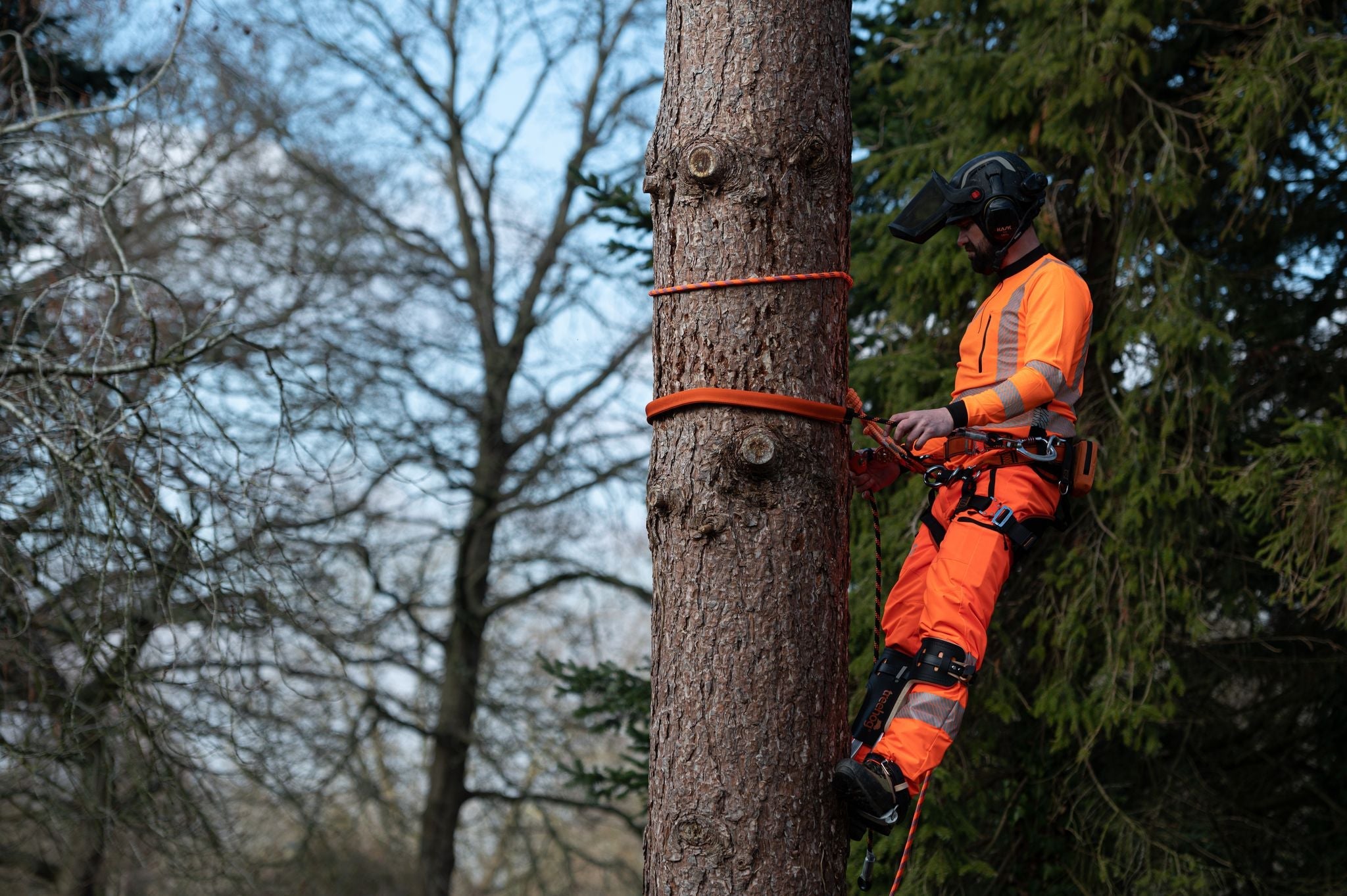 Chainsaw Clothing And Arborist Protection | Treehog | Buy Now