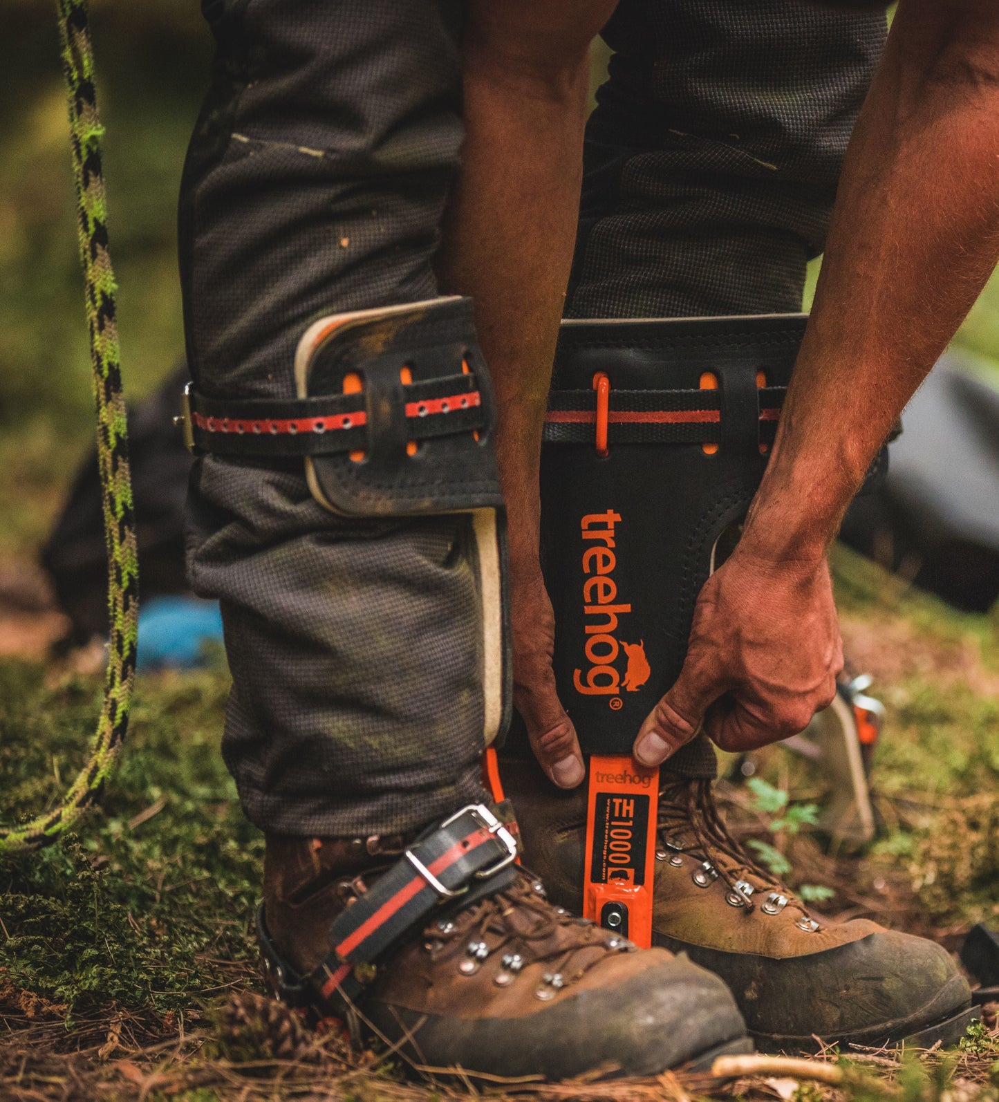 TH1000 Steel Climbing Spikes - Treehog