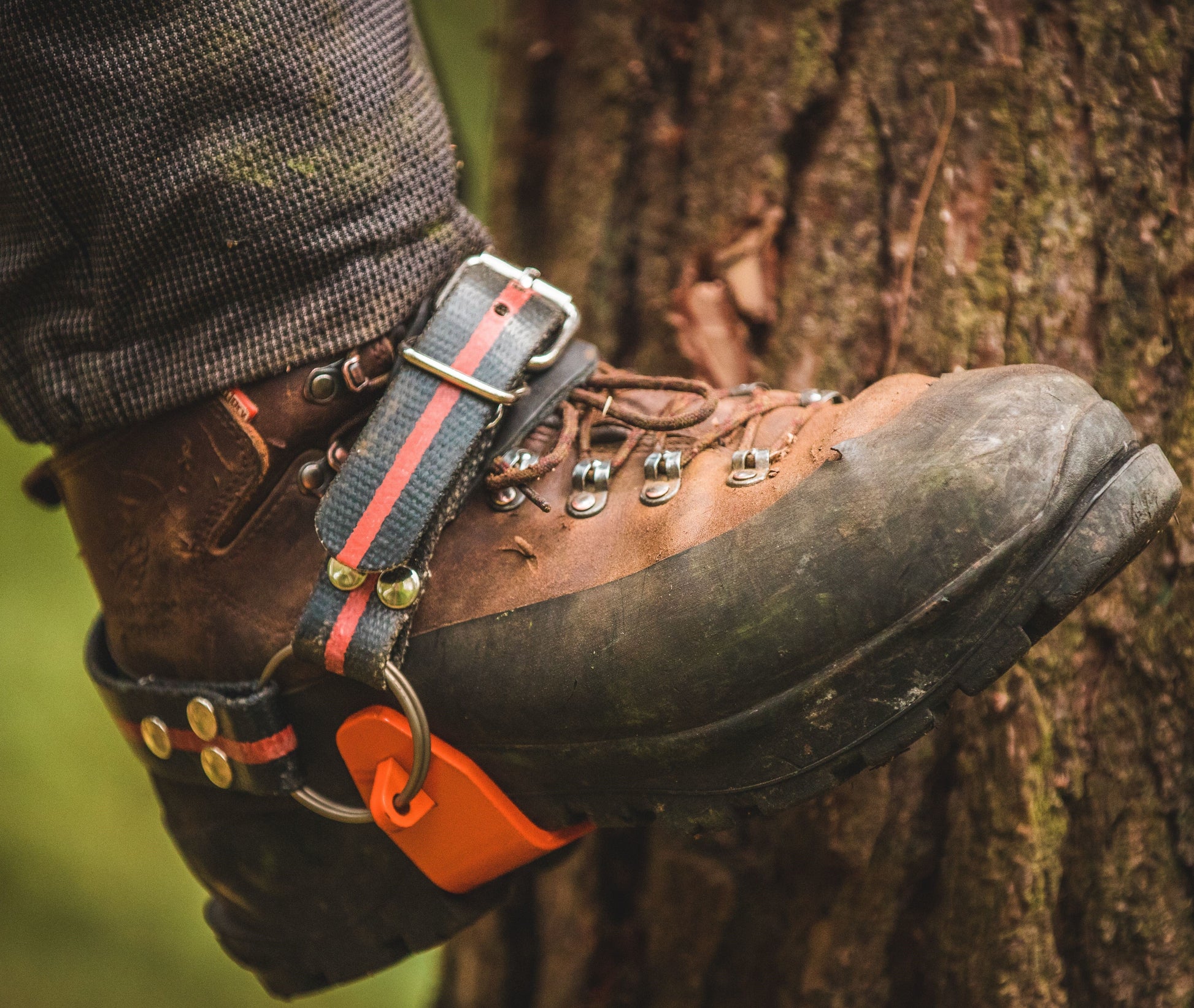 TH1000 Steel Climbing Spikes - Treehog