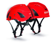WHE00007 KASK Helmet HP High Performance - Treehog