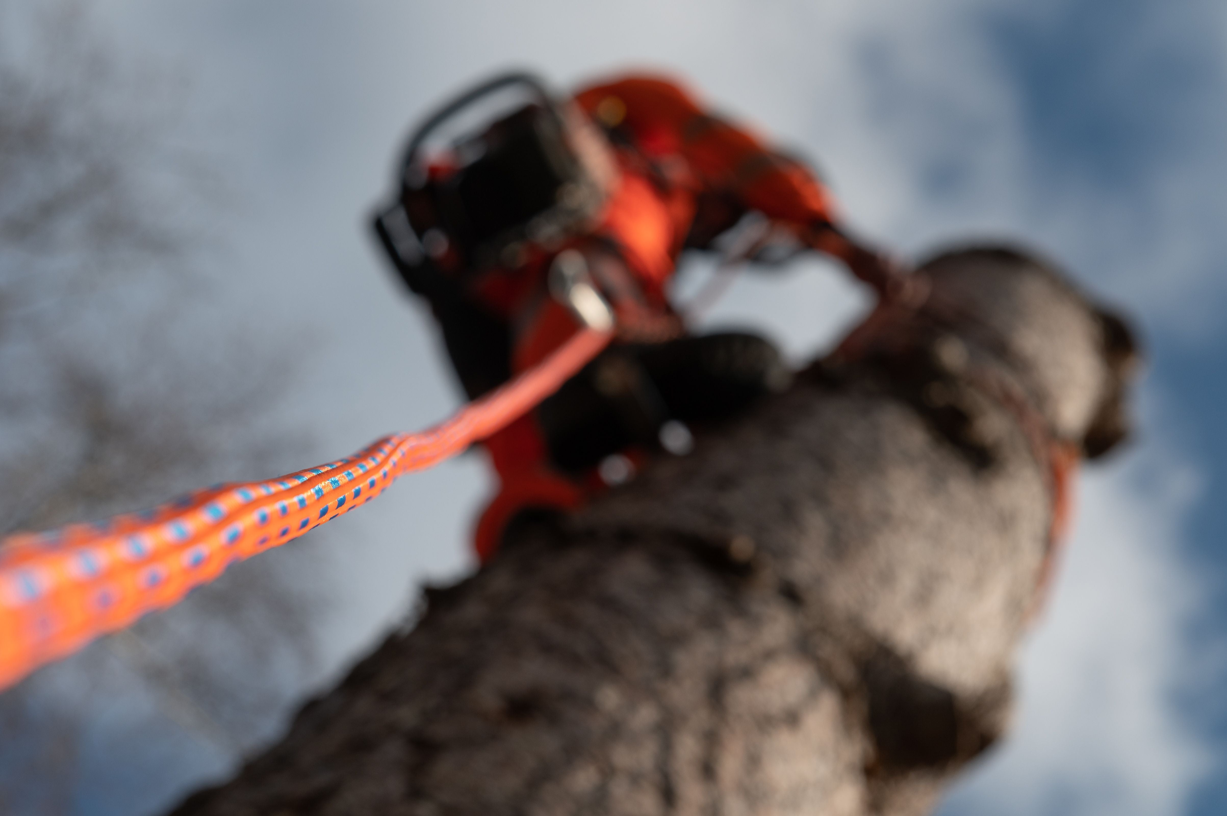 Rigging Kits And Ropes - Treehog