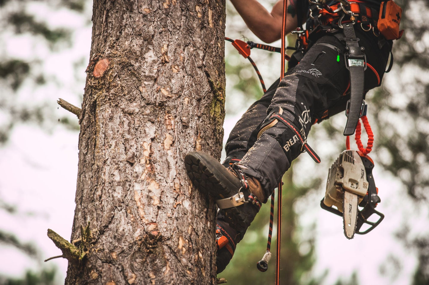 TH1003 Aluminum Tree Climbing Spikes - Treehog